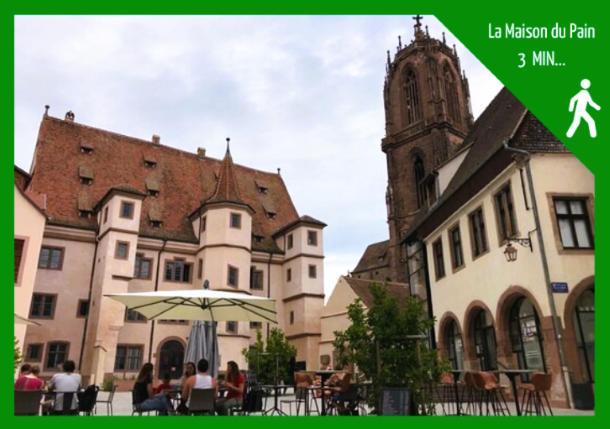 Grenier Des Cigognes Apartment Selestat Exterior photo